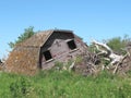 Collapsed wooden farm barn isolated Royalty Free Stock Photo