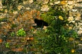 The collapsing stone arch is laid with bricks to protect against the destruction of the building.