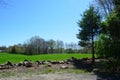 Collapsing Stone Wall Around a Green Grass Field