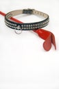 Collar and crop Royalty Free Stock Photo