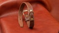 Dog collar made of real belt leather Royalty Free Stock Photo