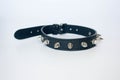 collar with spines. black with