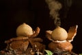 Collared earthstar releasing spores in rain