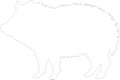 collaredpeccary Outline Silhouette Generative Ai Royalty Free Stock Photo