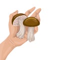 Keep brown mushrooms. Two mushrooms in the hand of man. Vector flat illustration