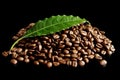 Collected coffee beans with leaf on black