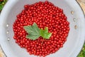 The collected dry fresh juicy bright freshly picked red currant berries