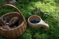 Collected edible mushrooms in a wicker basket. Royalty Free Stock Photo