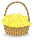 Collected a generous harvest. Basket full of ripe juicy fruit. Fresh bananas, a source of vitamins and pleasure. Vector