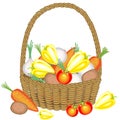 Collected a generous harvest. In the basket, potatoes, carrots, tomatoes, onions and peppers. Fresh beautiful vegetables. Vector