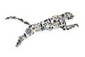 Collected by many spare parts of the jaguar Royalty Free Stock Photo