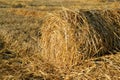 Collected round golden haystack on field