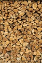 Collected wood Royalty Free Stock Photo