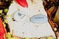 Rocks collectible inspirational sayings garden