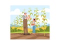 Collecting corn harvest semi flat vector illustration