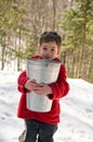 Collecting maple sap Royalty Free Stock Photo