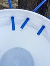 Maple Sap Collecting in a Bucket Royalty Free Stock Photo