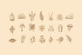 Collection of abstract shapes, esoteric symbol. Vector witch magic design elements set. Hand drawn, doodle, magician collection Royalty Free Stock Photo