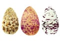 Collection of abstract watercolor eggs, vector