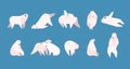 Collection of adorable amusing polar bear in different poses isolated on blue background. Cute funny cartoon Arctic