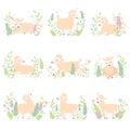 Collection of Adorable Little Lambs on Beautiful Spring Meadow, Cute Sheeps in Different Poses Vector Illustration