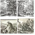 Collection of alchemical puzzles of animals by maier and lambsprinck