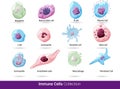 Collection of all the blood cells vector illsutaion. Neutrophil, eosinophil, macrophage, dendritic cell natural killer cell, blood Royalty Free Stock Photo