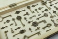 Collection of ancient keys Royalty Free Stock Photo