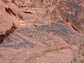 Collection of ancient petroglyphs of in Valley of Fire Nevada