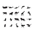 collection of animal and bird silhouettes. Vector illustration decorative design Royalty Free Stock Photo