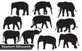 Collection of Animal Elephant silhouettes in different positions