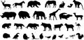 Collection of animal silhouettes Royalty Free Stock Photo