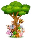 Collection animal stand around tree