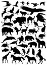 Collection of animal vector