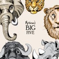 Collection of animals from Africa`s big five. Vector illustration on light light brown background