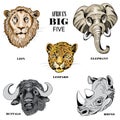 Collection of animals from Africa`s big five. Vector illustration on white background