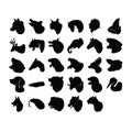 collection of animals. Vector illustration decorative design Royalty Free Stock Photo