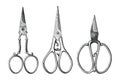 Collection of antique scissors hand draw vintage style black and white clip art isolated on white background,Vintage scissors rare