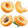 Collection of apricots isolated on white Royalty Free Stock Photo