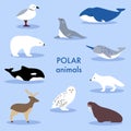 Simple Polar Animals Set Royalty Free Stock Photo