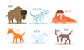 Collection of Arctic animals with names, wisent, snow leopard, walrus, fox, arctic fox, husky vector Illustration Royalty Free Stock Photo