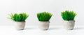 Collection of artificial grassy plants in light pots against wall