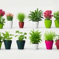 Collection of Artificial Plants in Flower Pots, Isolated on a White Background. Royalty Free Stock Photo