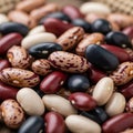 A collection of assorted beans showcases a variety of colors and patterns Royalty Free Stock Photo
