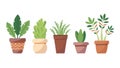 Collection of assorted small potted plants for home decor, vector design Generative AI Royalty Free Stock Photo