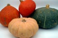 Collection or assortment of four different types of pumpkins or squashes isolated as seasonal vegetables.