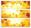 Collection of autumn banners