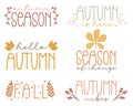 Collection of autumn hand lettering and calligraphy quotes isolated on white background. Autumn decorative element for banners, Royalty Free Stock Photo