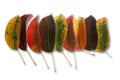 Collection of autumnal leaf Royalty Free Stock Photo