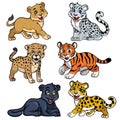 Collection of babies big cats Royalty Free Stock Photo